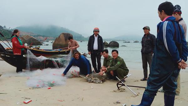 ...dưới sự chứng kiến của chính quyền xã Kỳ Xuân, bà con ngư dân đã thả con Rùa biển nặng gần 40kg về với Đại dương