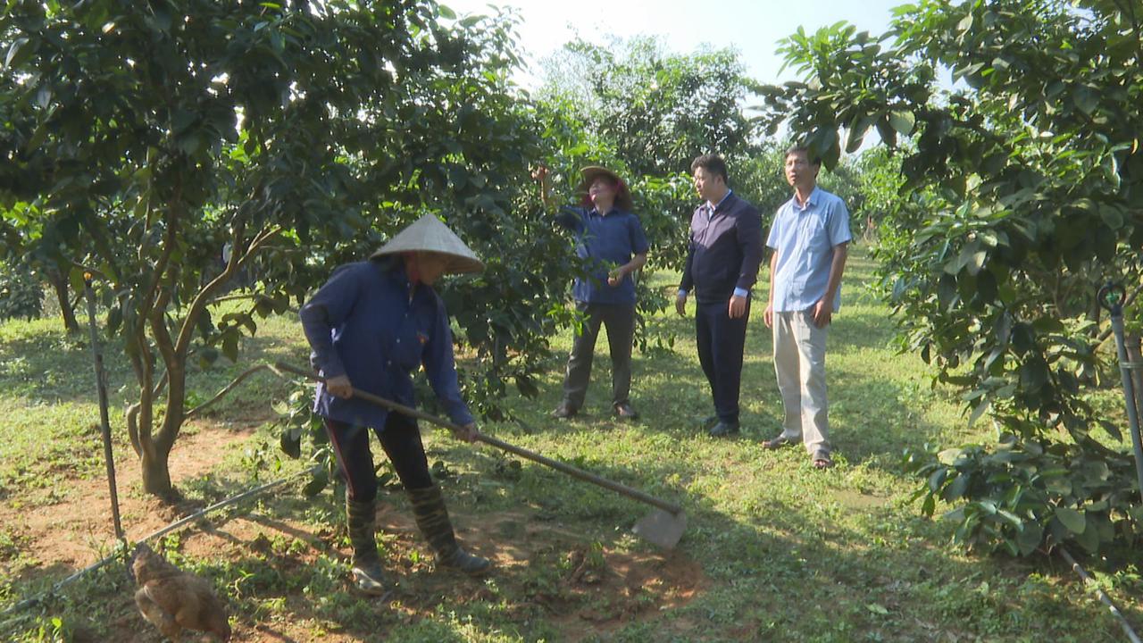 Kỳ Tây phát triển các mô hình kinh tế trong xây dựng nông thôn mới.