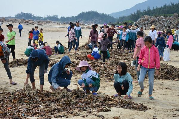 Các em học sinh ở Kỳ Xuân thu gom bèo chết  trôi dạt vào các bãi biển.