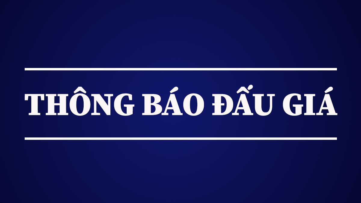 Thông báo đấu giá quyền sử dụng đất đối với 16 thửa đất ở thuộc Quy hoạch khu dân cư thôn Đồng Phú, xã Kỳ Anh, tỉnh Hà Tĩnh.