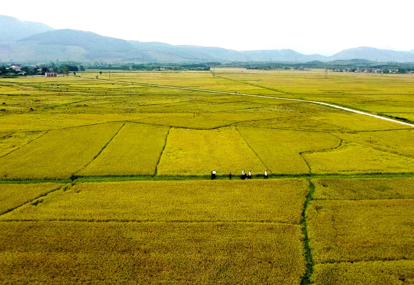 Xây dựng nông nghiệp hữu cơ, nông nghiệp tuần hoàn – nền tảng phát triển kinh tế nông nghiệp, kinh tế nông thôn và xây dựng thương hiệu sản phẩm đặc trưng của xã Kỳ Anh