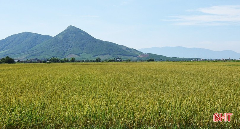 Phú Minh - từ thôn thuần nông đến thôn thông minh
