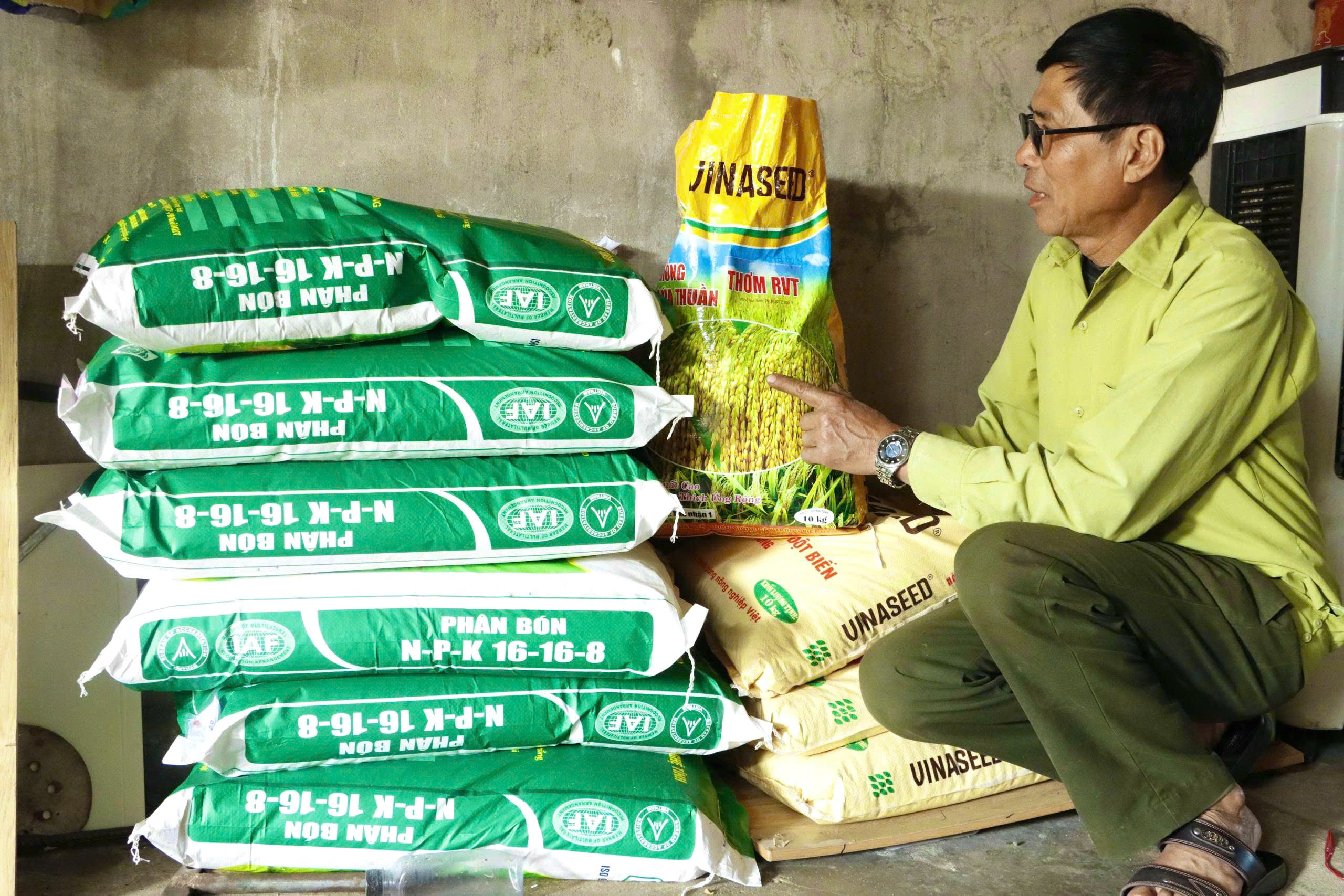 Nông dân Kỳ Anh tuân thủ đúng lịch, đúng giống, sẵn sàng cho vụ Xuân bội thu