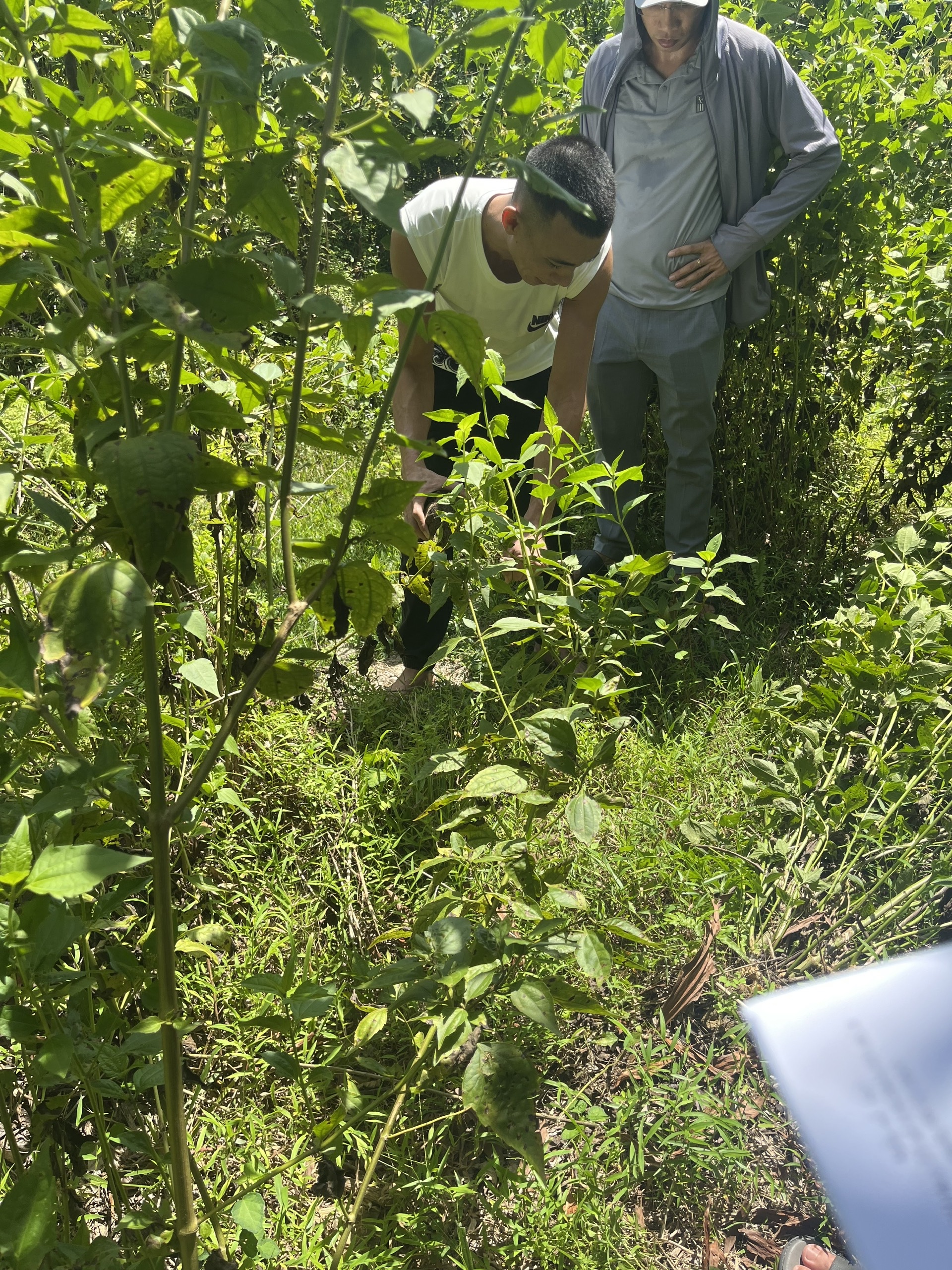 Viện kiểm sát nhân dân khu vực 2 - Hà Tĩnh truy tố bị can N.H.L. về tội “Trộm cắp tài sản”