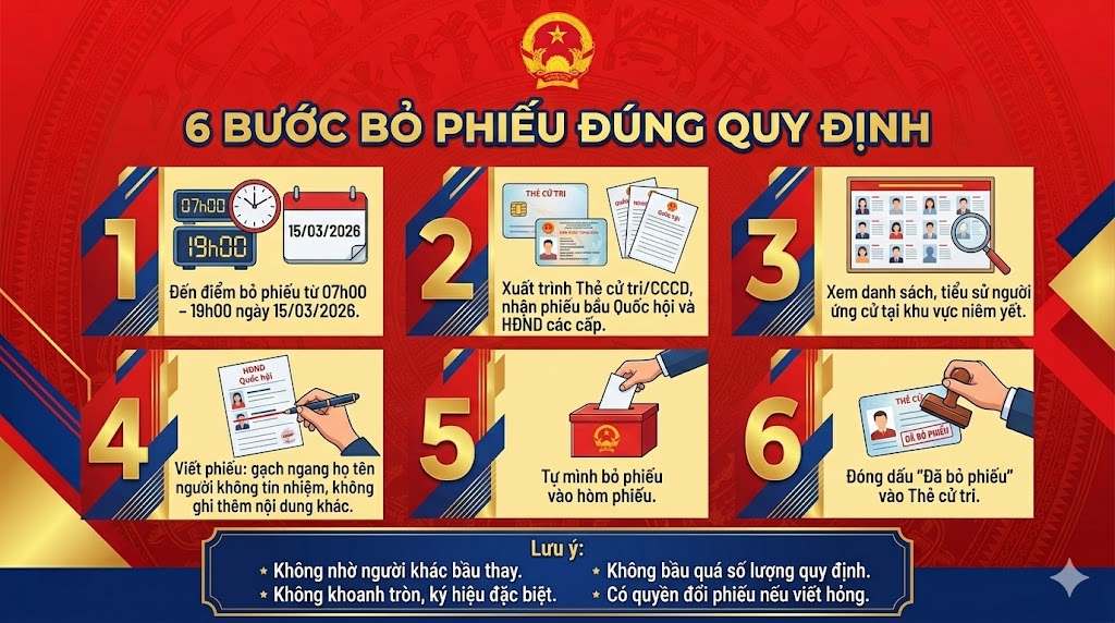 Quy trình bỏ phiếu bầu cử theo quy định hiện hành