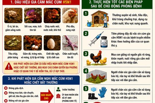 Triển khai quyết liệt các biện pháp phòng chống bệnh Cúm gia cầm H5N1 