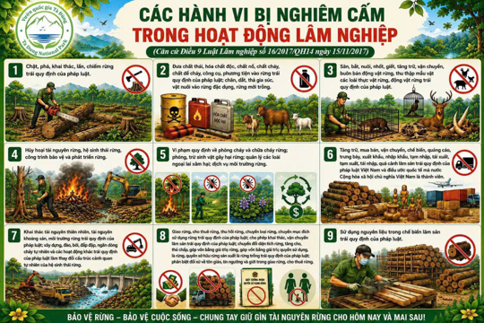 Cùng chung tay bảo vệ động vật hoang dã và các loài chim di cư, tự nhiên trên địa bàn  