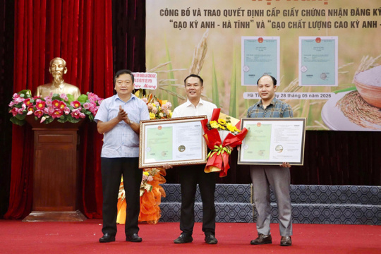 Thêm cơ hội vươn xa cho thương hiệu gạo Kỳ Anh - Hà Tĩnh