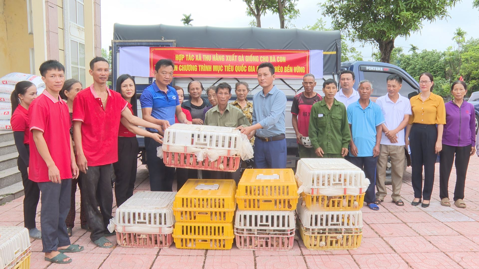 Xã Kỳ Phong trao tặng 2.400 con gà sinh kế cho các gia đình có hoàn cảnh khó khăn
