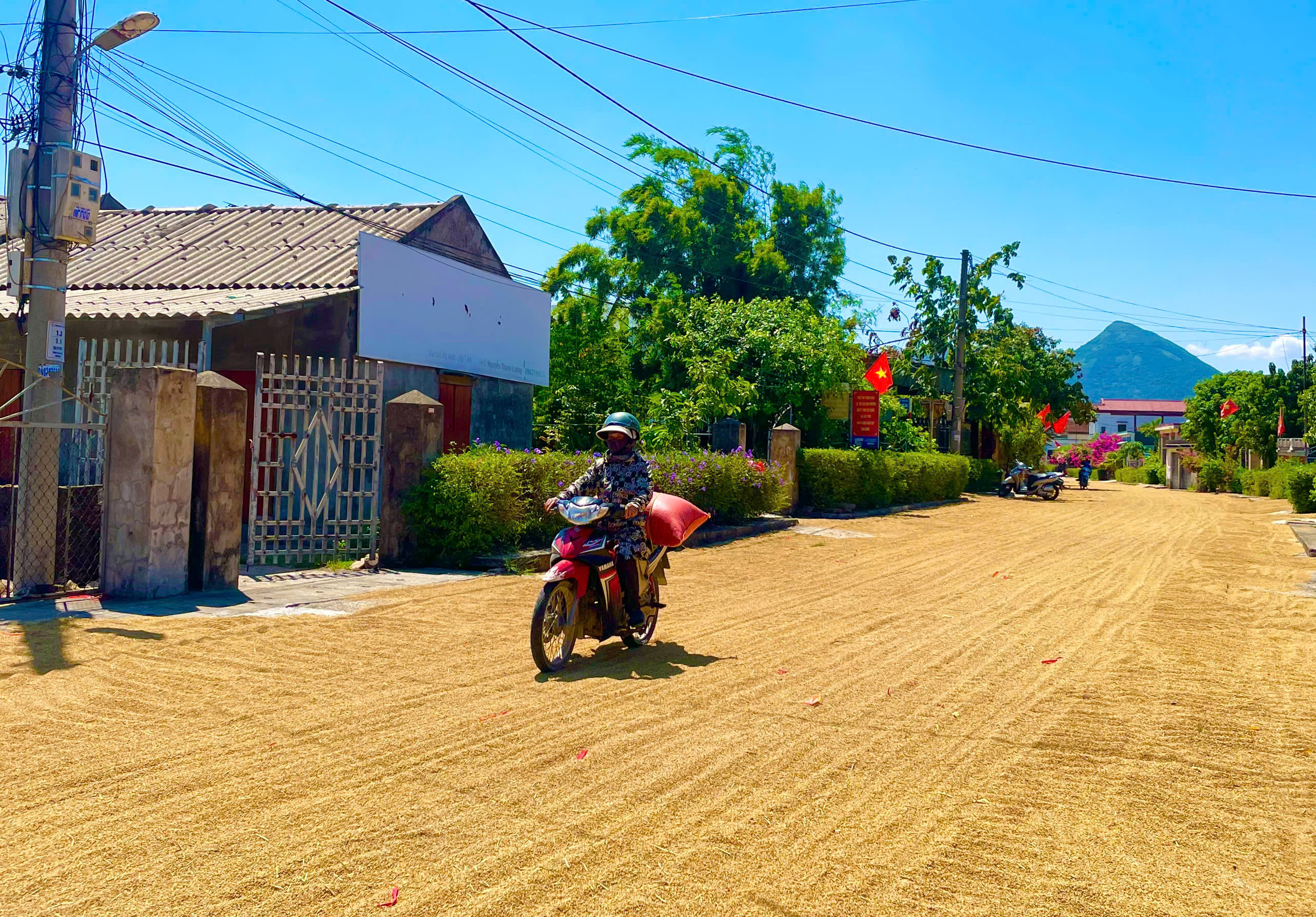 Lấn chiếm đường phơi thóc lúa, tiềm ẩn nguy cơ tai nạn giao thông