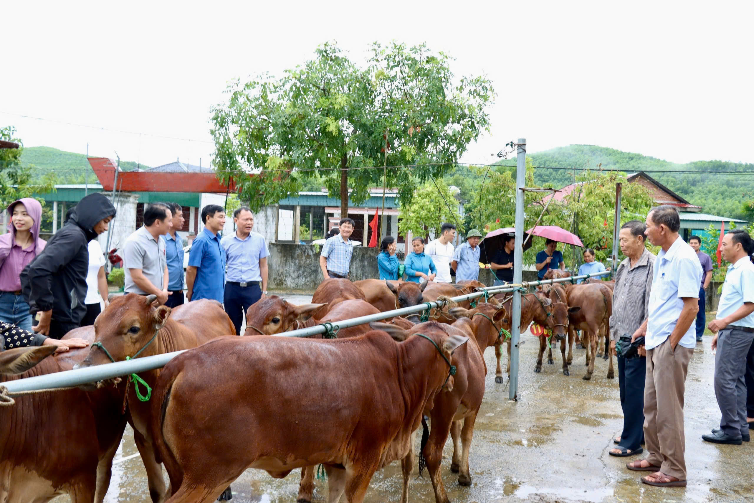 Khởi công làm nhà ở và trao mô hình sinh kế giảm nghèo