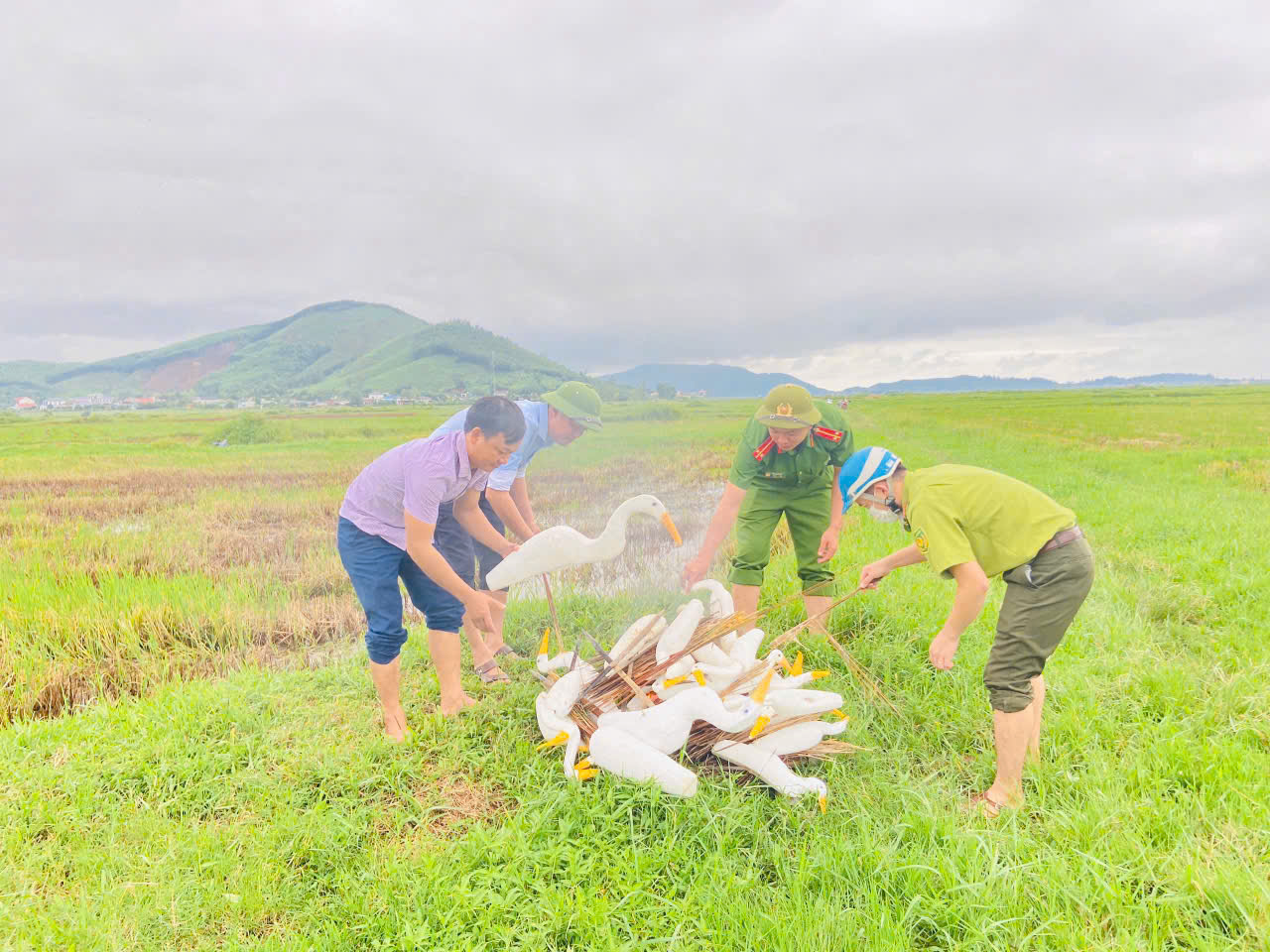 Kỳ Anh đẩy mạnh ngăn chặn săn bắt và tiêu thụ chim trời, chim di cư