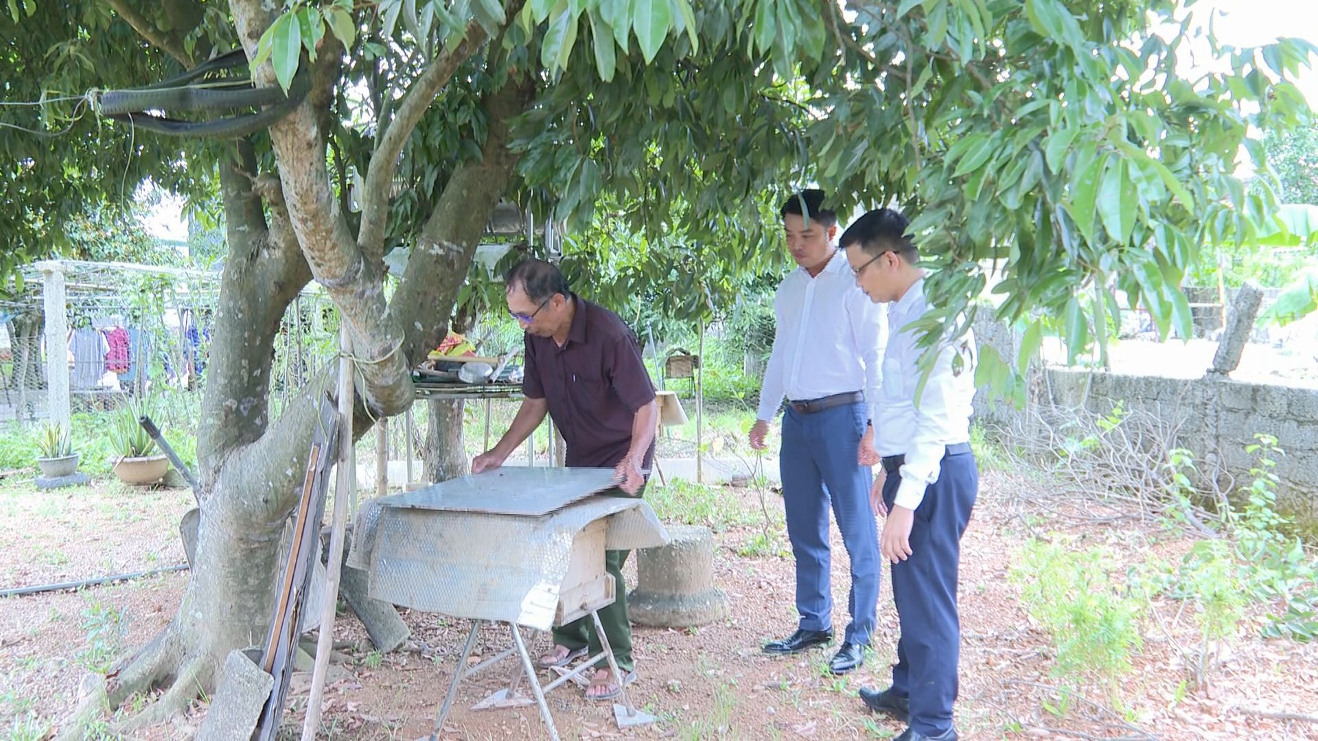 Thị trấn Kỳ Đồng thực hiện có hiệu quả việc nhân rộng các mô hình sản xuất nông nghiệp ở tất cả các lĩnh vực