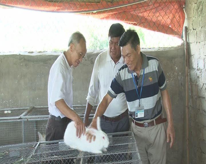 Hội Cựu Chiến binh huyện Kỳ Anh: Chung tay Xây dựng Nông thôn mới.