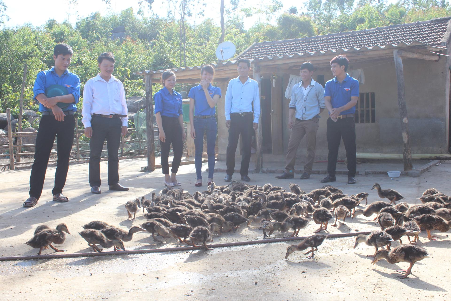 Câu Lạc bộ Thanh niên phát triển kinh tế huyện Kỳ Anh: Ra mắt mô hình kinh tế thanh niên.