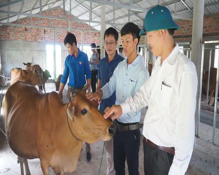 Câu lạc bộ thanh niên phát triển kinh tế huyện Kỳ Anh: Ra mắt mô hình kinh tế VAC tại xã Kỳ Tiến
