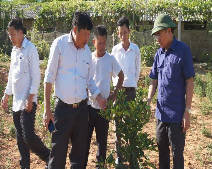 Xã Kỳ Phong: Nhân rộng các mô hình kinh tế trong xây dựng Nông thôn mới.