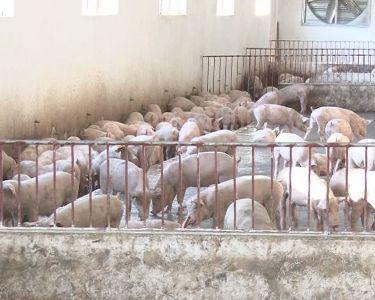 Xây dựng nông thôn mới ở xã miền núi Kỳ Lâm.
