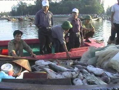 Xã Kỳ Hà đẩy mạnh nghề đánh bắt thuỷ hải sản trên biển.