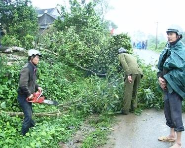Thôn Trường Sơn xã Kỳ Trung: Sôi nổi phong trào hiến đất làm đường giao thông nông thôn và xây dựng khu dân cư kiểu mẫu.
