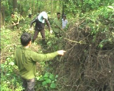 Ban quản lý rừng phòng hộ nam Hà Tĩnh tăng cường các biện pháp phòng chống cháy rừng trong mùa khô năm 2014.