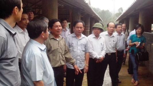 Xã Kỳ Tân gấp rút hoàn thành các tiêu chí còn lại để được công nhận nông thôn mới trong năm 2013