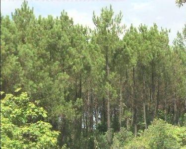 Kỳ Anh tăng cường công tác phòng chống cháy rừng trong mùa nắng nóng.