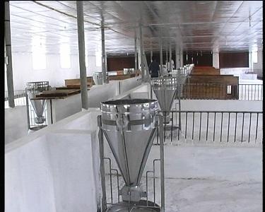 BCĐ Xây dựng NTM huyện thăm mô hình trang trại ở Kỳ Lâm