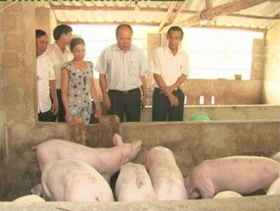 Đ/c Bí thư Huyện ủy đi kiểm tra mô hình làm kinh tế giỏi ở xã Kỳ Lâm
