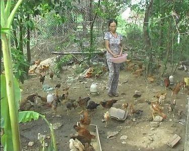 Kỳ Hợp sôi nổi phong trào phát triển kinh tế, xây dựng nông thôn mới.