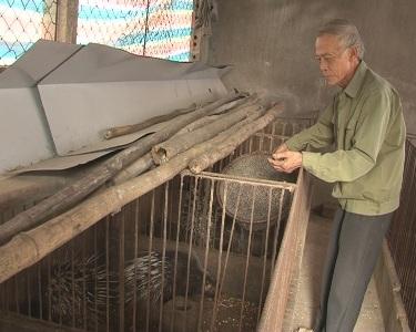 Hội cựu chiến binh xã kỳ Tân nhiều mô hình phát triển kinh tế trong xây dựng nông thôn mới.