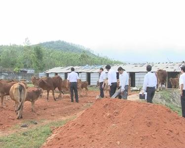 Ban chỉ đạo xây dựng nông thôn mới huyện làm việc với xã Kỳ Xuân để nghe kết quả chương trình mục tiêu quốc gia xây dựng nông thôn mới.