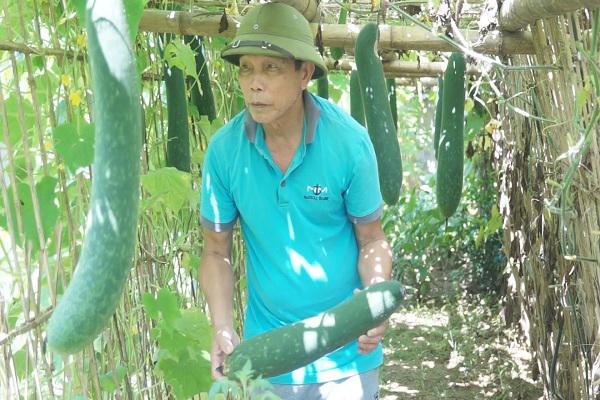 Kỳ Trung với phong trào xây dựng vườn mẫu.
