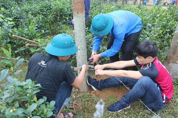 Chi đoàn Huyện ủy- UBND huyện và Khối dân huyện Kỳ Anh hưởng ứng ngày “Chủ nhật xanh”