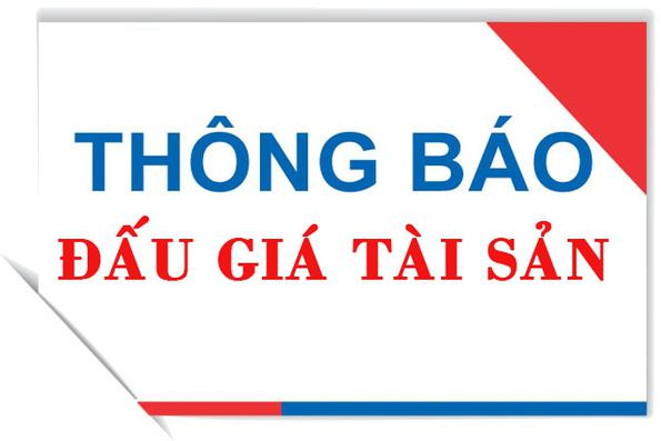 Thông báo về việc lựa chọn Tổ chức đấu giá tài sản (Quy hoạch khu dân cư Cồn Gát, xã Kỳ Thư)
