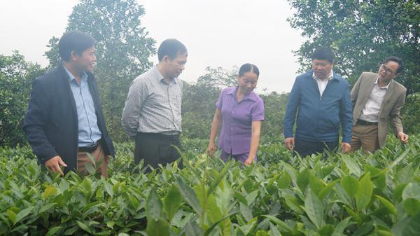 Đồng chí Trần Đình Gia, Đại biểu Quốc hội, TUV, Bí thư Huyện ủy Kỳ Anh kiểm tra các mô hình xây dựng Nông thôn mới trên địa bàn huyện.