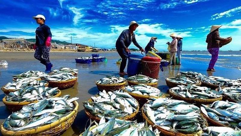 Tài liệu tuyên truyền phòng chống đánh bắt hải sản bất hợp pháp, không báo cáo, không theo quy định