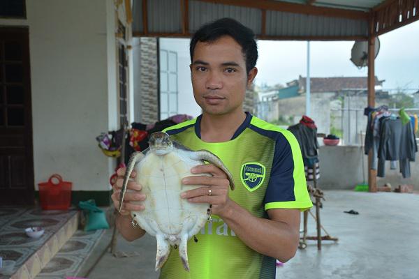 Ngư dân Kỳ Khang bắt được rùa biển nặng 2,4kg