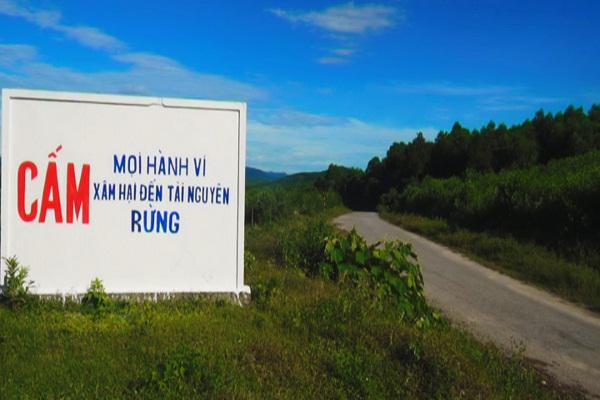 Huyện Kỳ Anh: Tăng cường các biện pháp bảo vệ rừng, phòng cháy chữa cháy rừng.