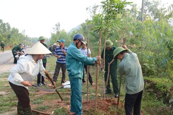 Hội Cựu Chiến binh xã Kỳ Xuân ra quân chăm sóc cây xanh dọc các trục đường giao thông nông thôn.
