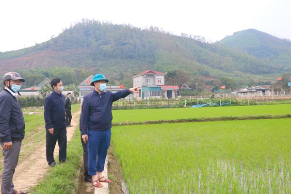 Huyện Kỳ Anh tập trung mọi nguồn lực, phấn đấu hoàn thành tốt các mục tiêu đề ra trong 6 đầu năm 2021