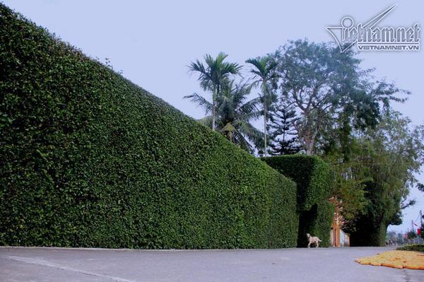 Ngây ngất trước những miền quê đẹp như tranh ở Hà Tĩnh