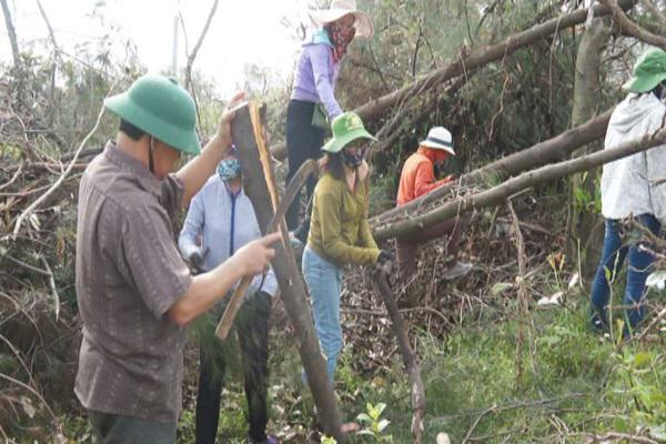 Hội Nông dân tỉnh: Giúp bà con nhân dân khôi phục vườn mẫu sau cơn bão số 10.