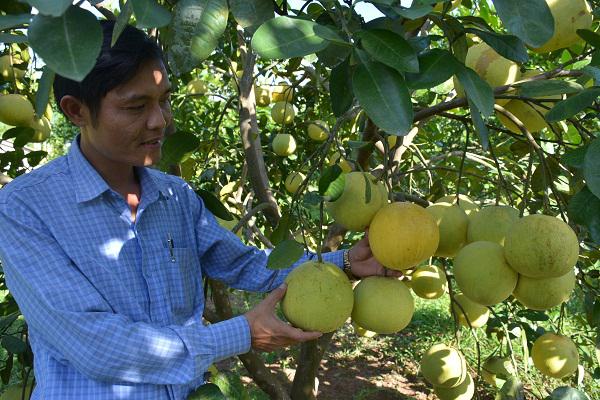 Xuân về trên vùng thượng Kỳ Anh.