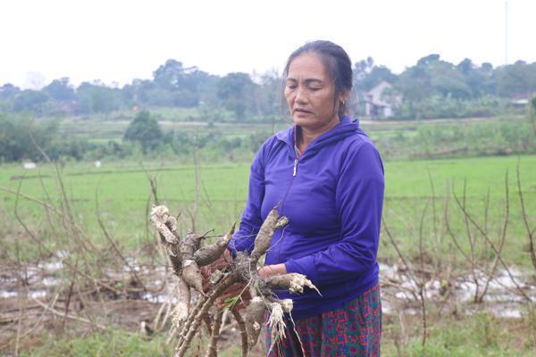 Nông dân và doanh nghiệp loay hoay tìm tiếng nói chung