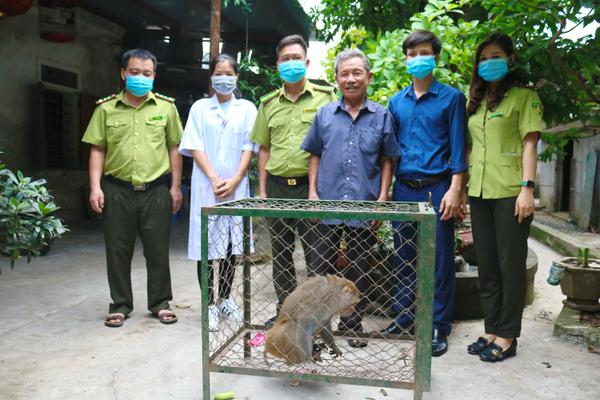 Bàn giao cá thể khỉ đuôi lợn và cu li nhỏ cho Vườn Quốc gia Vũ Quang