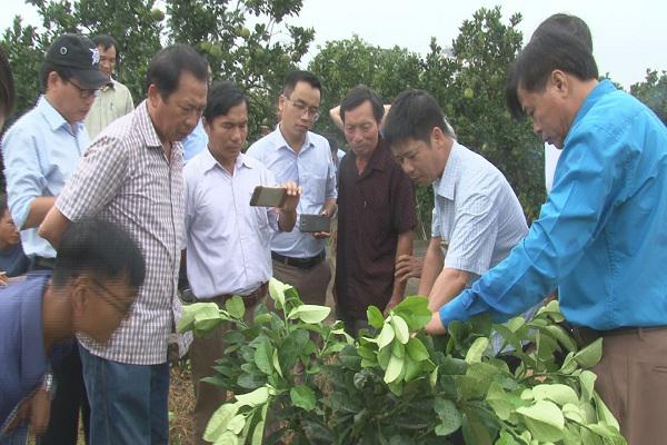 Đoàn Công tác của huyện Kỳ Anh tham quan, học tập kinh nghiệm mô hình phát triển kinh tế tại các tỉnh phía Bắc