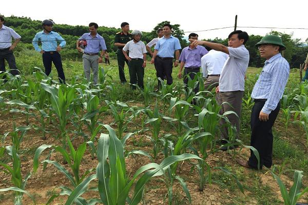 Đồng chí Bùi Quang Hoàn- Phó Bí thư Huyện ủy- Chủ tịch UBND  huyện Kỳ Anh: Làm việc với xã Kỳ Hợp về tiến độ xây dựng nông thôn mới.