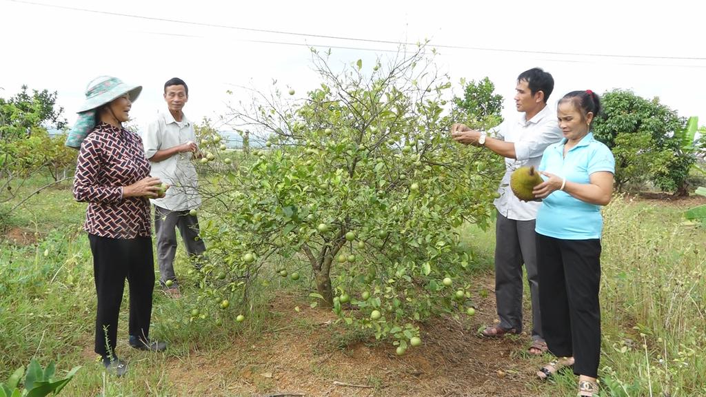 Hiệu quả mô hình câu lạc bộ liên thế hệ tự giúp nhau của người cao tuổi thôn Hưng Phú, xã Kỳ Tiến