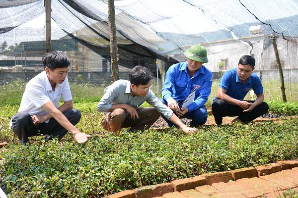 Huyện đoàn Kỳ Anh nhân rộng mô hình vườn ươm thanh niên.